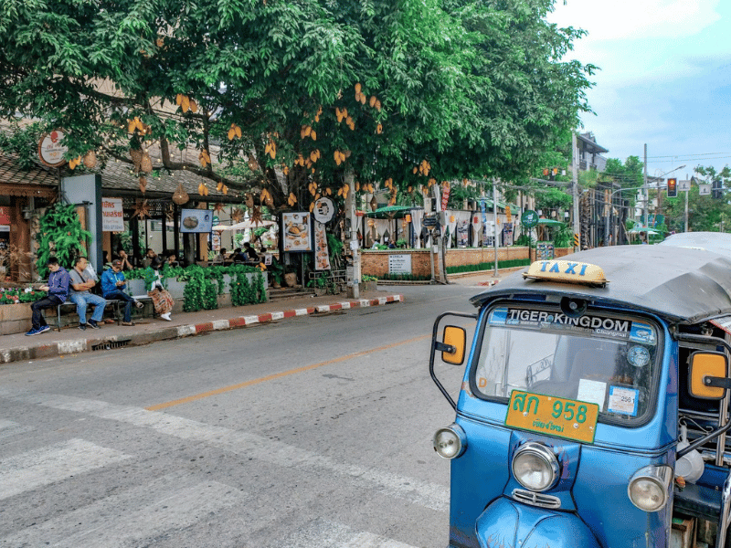 mejores cosas para hacer en chiang mai