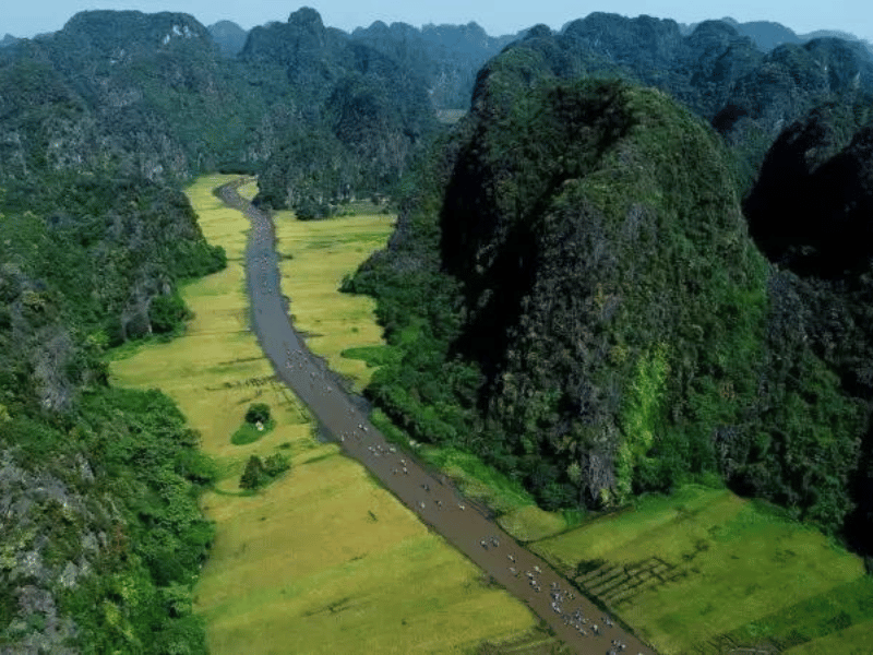 Excursión A Ninh Binh En Un Día: Explorando La Impresionante Belleza Natural 2024