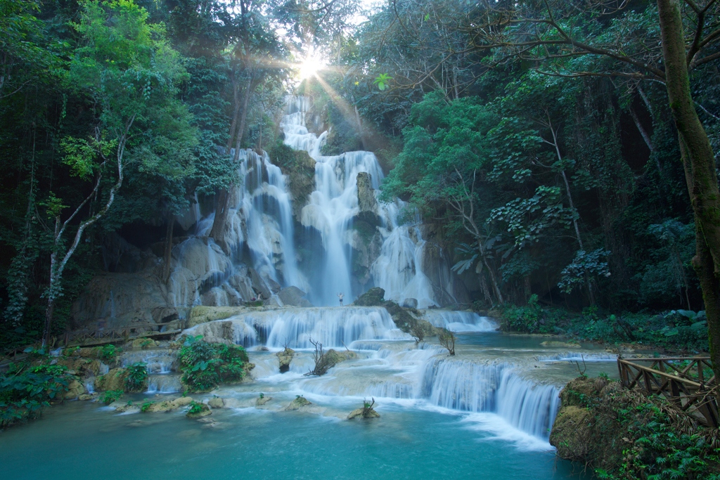 DÍA 9: LIMOSNA MATUTINA - CASCADA KUANG SI - PARQUE DE LAS MARIPOSAS (D)