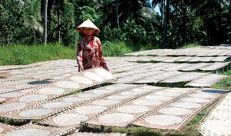 Excursión a My Son desde Da Nang