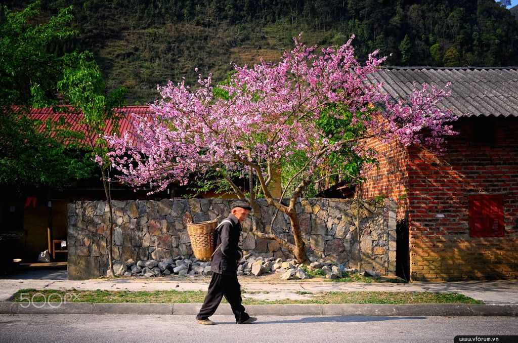 tour por ha giang 