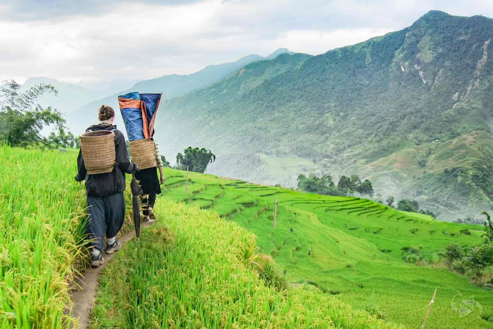 tours de senderismo en Vietnam